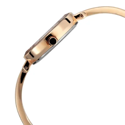 Titan Quartz Analog Champagne Dial Stainless Steel Strap Watch for Women