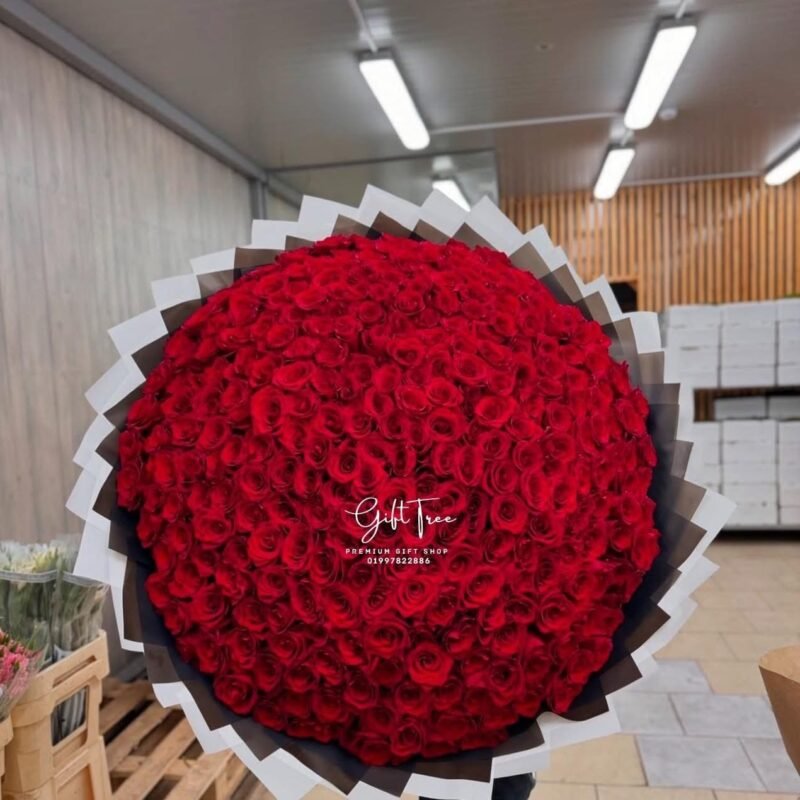 Thousand Reasons to Love You – 1000 Red Roses